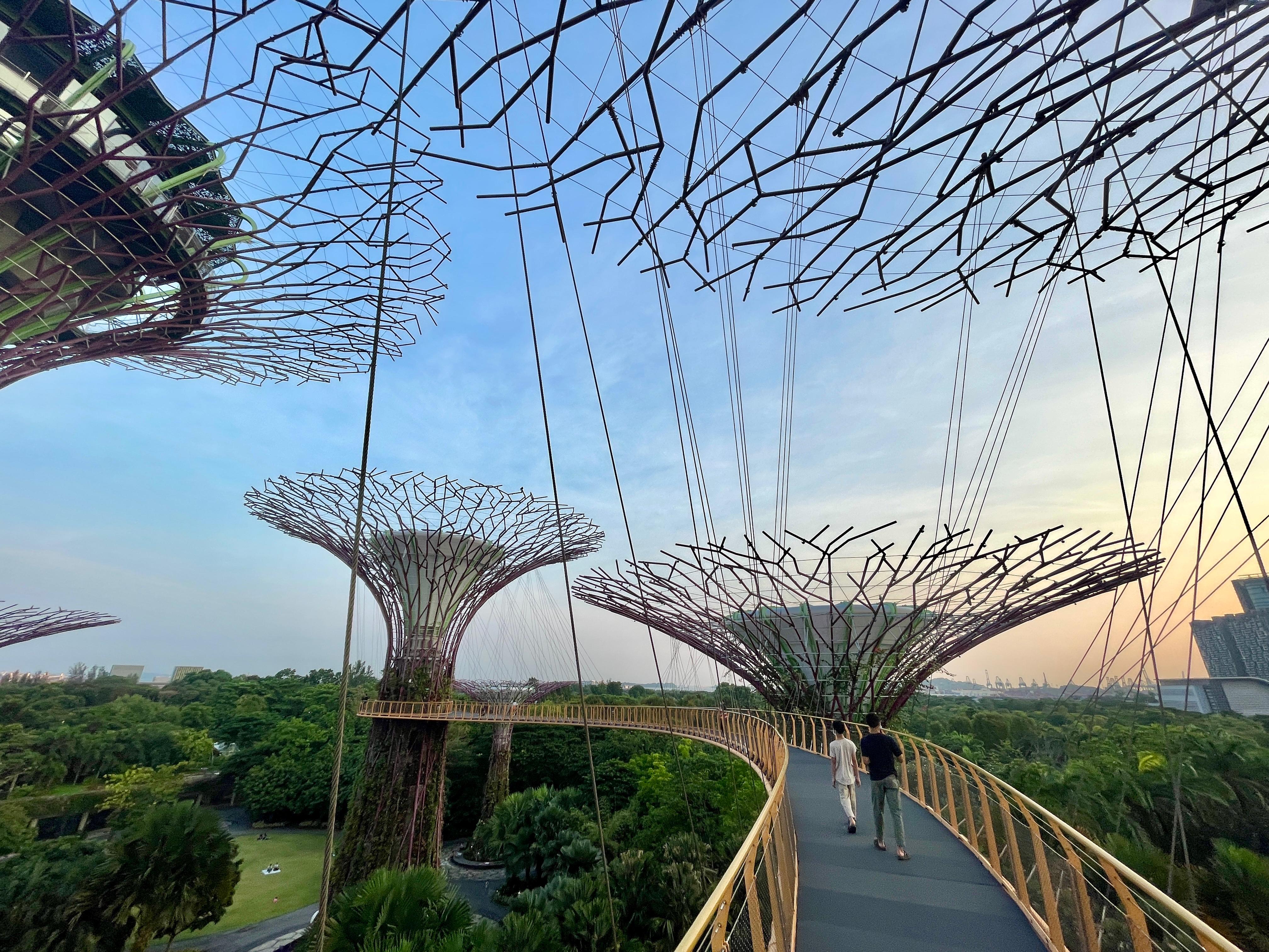 Tour guests at the OCBC Skywalk 